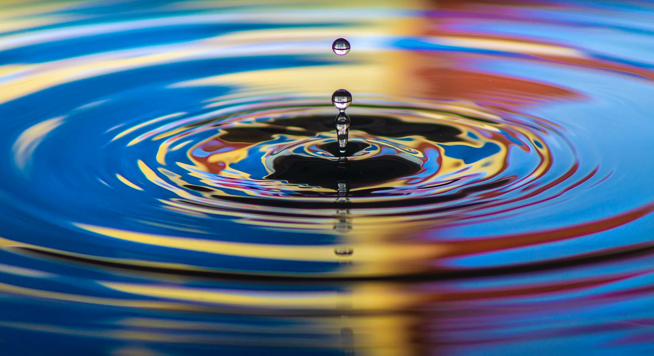 You are currently viewing Rising from the Ripples: Thriving When Clients Depart